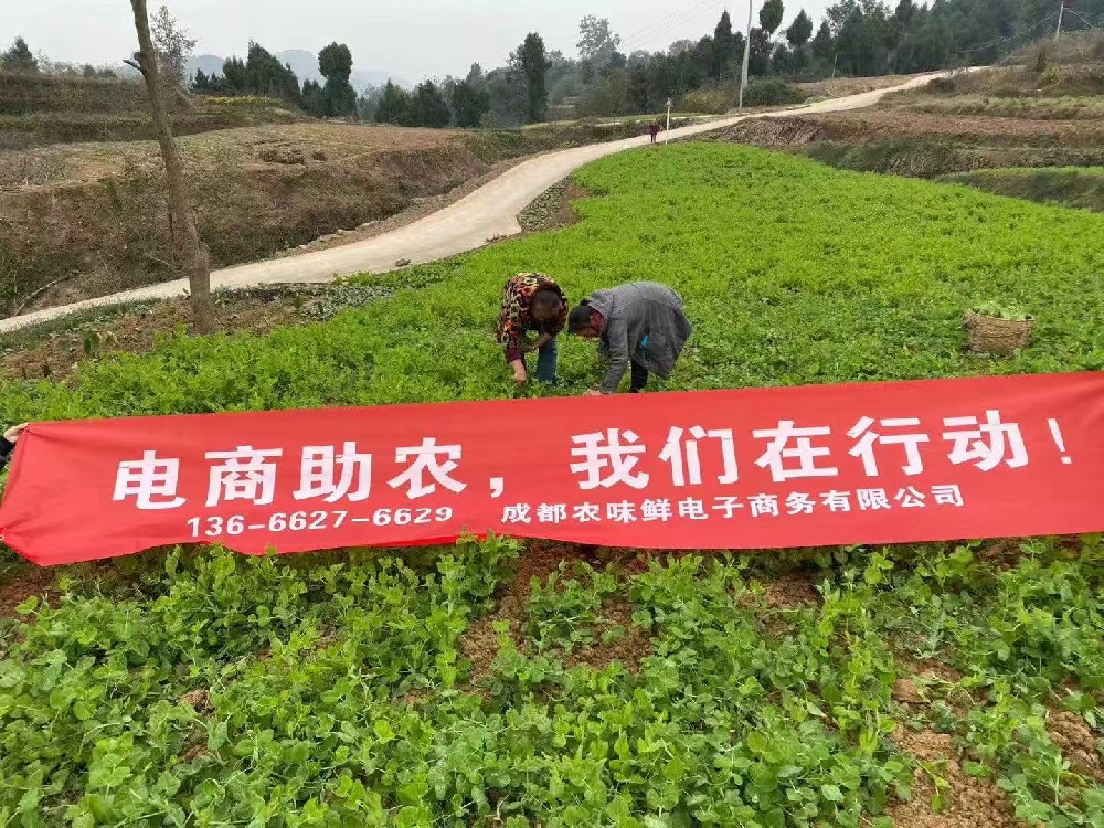 公司相(xiàng)冊