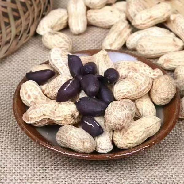 金(jīn)堂黑(hēi)花(huā)生(shēng)