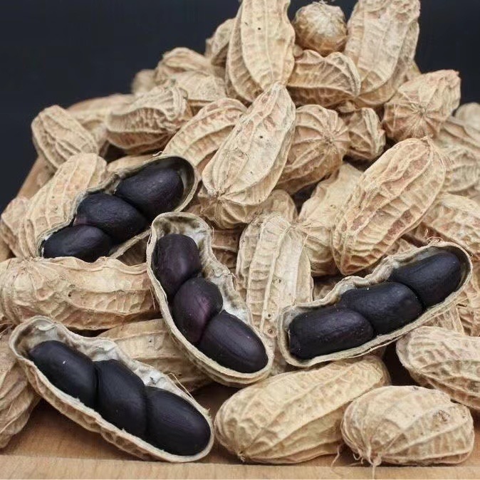 三粒黑(hēi)花(huā)生(shēng)