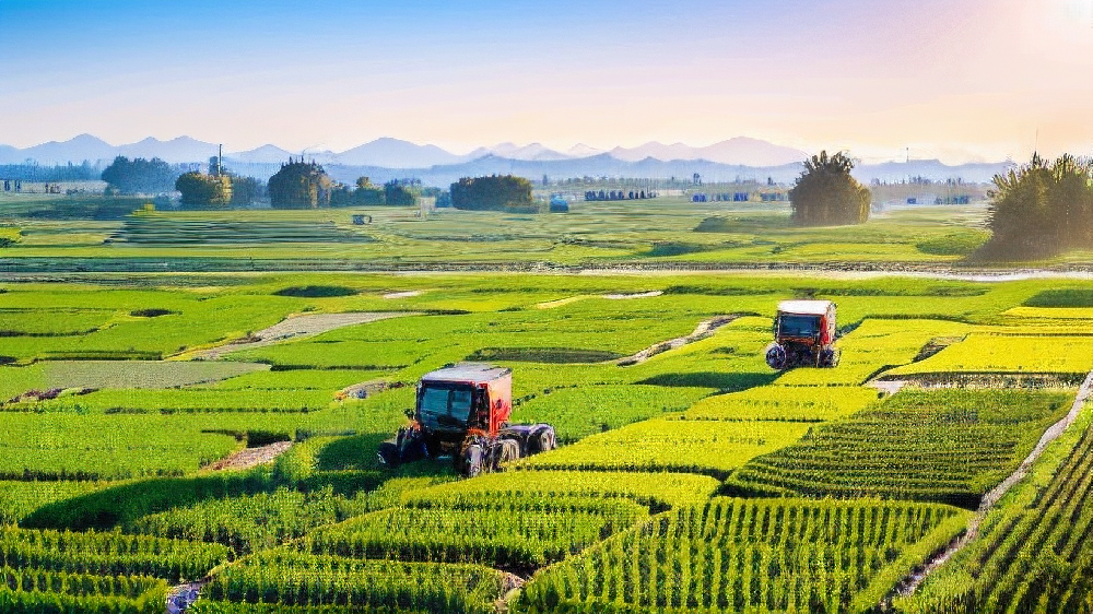 公司相(xiàng)冊