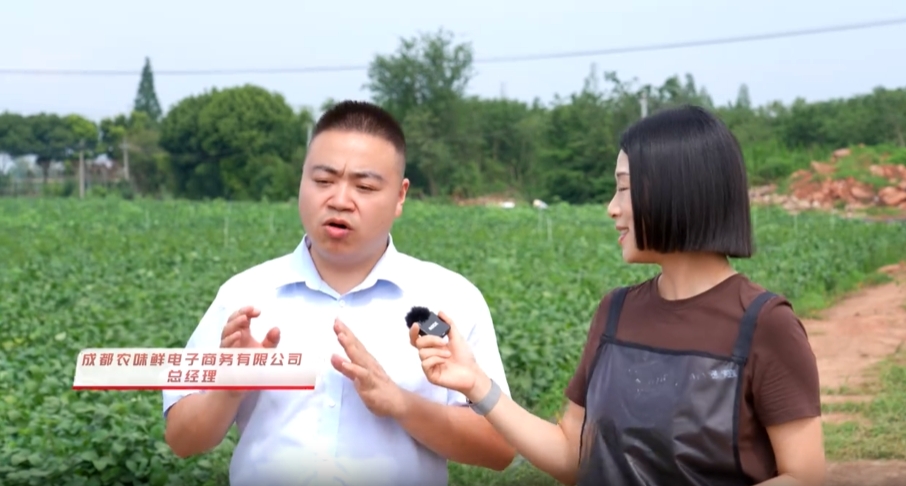 金(jīn)堂電(diàn)視(shì)台采訪報(bào)道(dào)